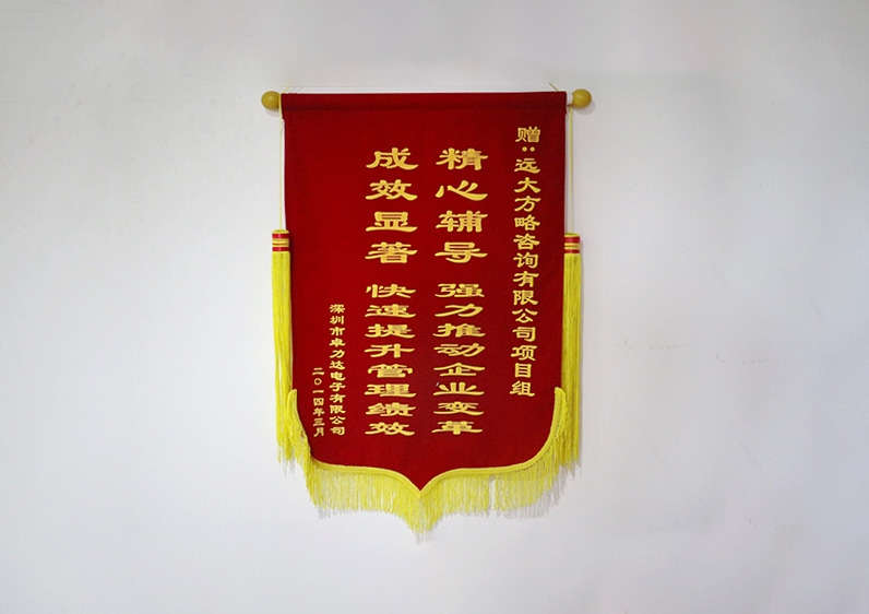 精心輔導，強力推動企業變革